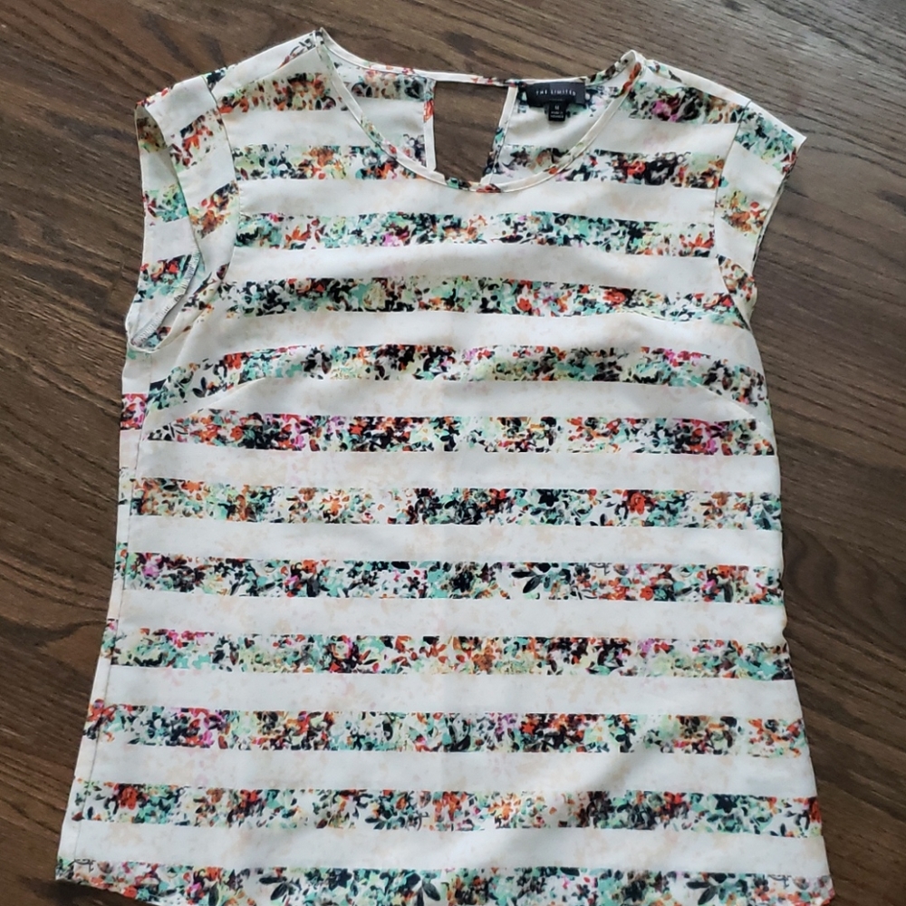 The Limited Blouse